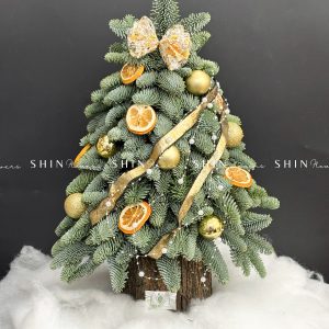 Cây thông Nobilis Đan Mạch cắm cành size 50cm T046