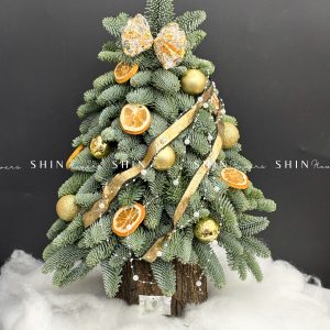 Cây thông Nobilis Đan Mạch cắm cành size 50cm T046