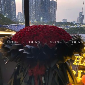 Bó Hồng Khổng Lồ 520 Đóa Hồng Đỏ S590