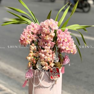 Chậu Đia Lan Sato Hồng Nhạt - Ngọc Ngà - Gấm Hoa - 5 Vòi - Tet36