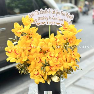 Lẵng Hoa Tết Địa Lan Vàng H135