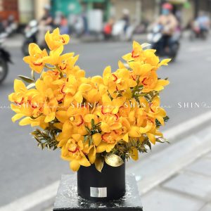 Lẵng Hoa Tết Địa Lan Vàng H135