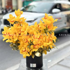 Lẵng Hoa Tết Địa Lan Vàng H135