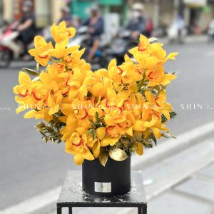 Lẵng Hoa Tết Địa Lan Vàng H135