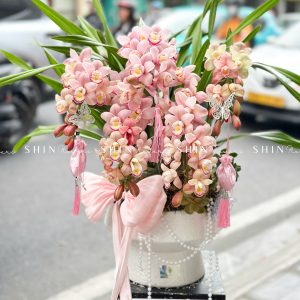 Chậu Đia Lan Hồng Nhạt 5 Vòi - Tet33