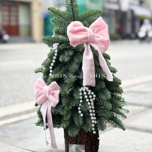 Cây thông Nobilis Đan Mạch cắm cành size 40cm T049