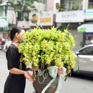 Chậu Đia Lan Sato màu xanh Quý Phi Thanh Ngọc Tet53z7373816503053_e0c410d1710b0c217f095886521b9031.jpg z7373811617528_5c121c2830b4734f2915df28011ad36e.jpg z7373729034654_6e9966f573c3a8da49bb7048f6aa8e92.jpg z7373729062645_7396b04296d6615dbcf2aa39cdba31b2.jpg z7373729012079_81014701fdbc0e7529b973b10a55e66c.jpg z7373812398048_ccbb1f51ebfb4f5f479c1273681c3143.jpg