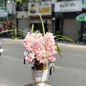 Chậu Đia Lan Sato màu hồng tình yêu 6 vòi Tet60