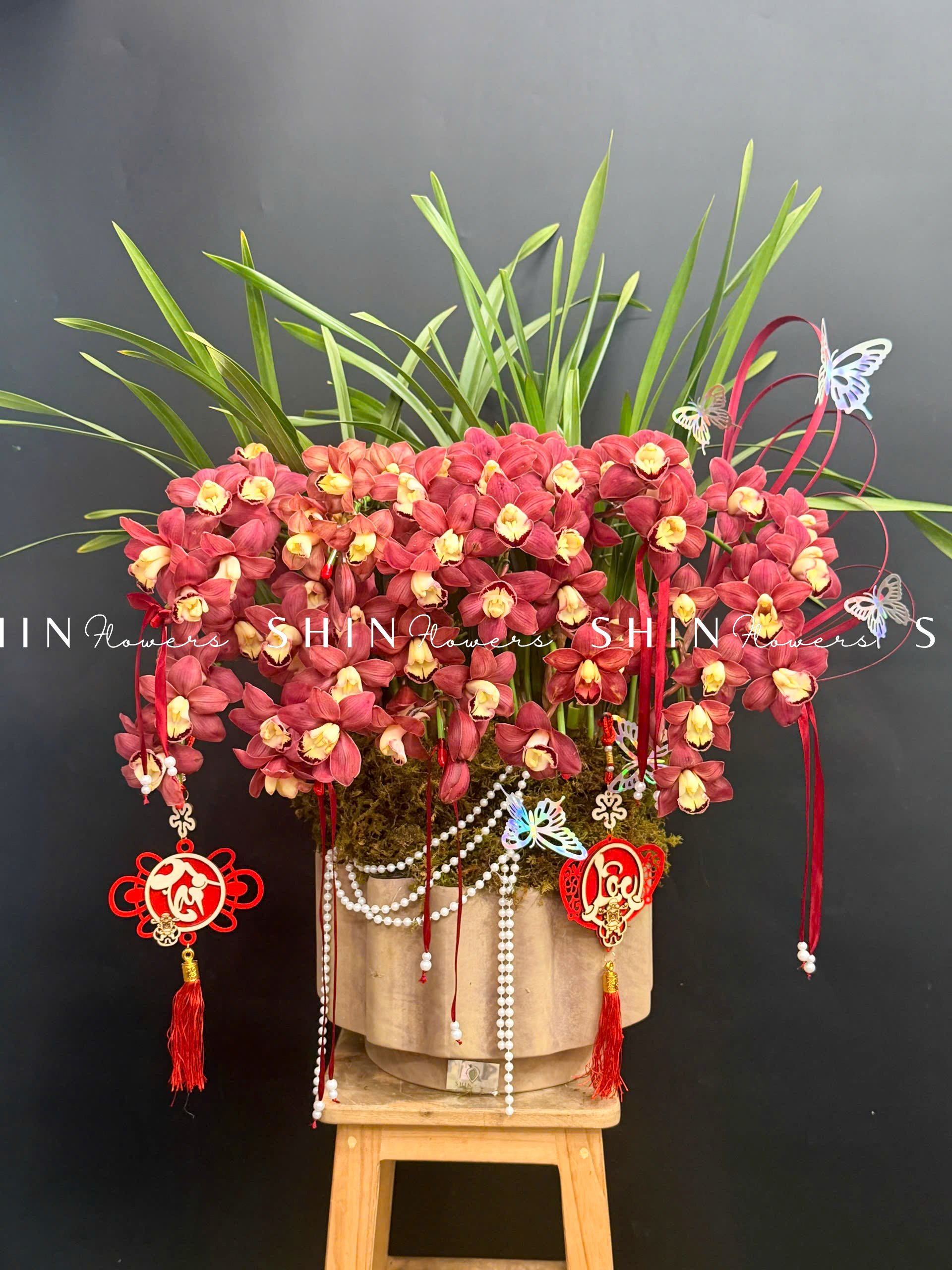 Chậu Đia Lan Sato Đỏ- Phú Quý 12 Vòi Tet63