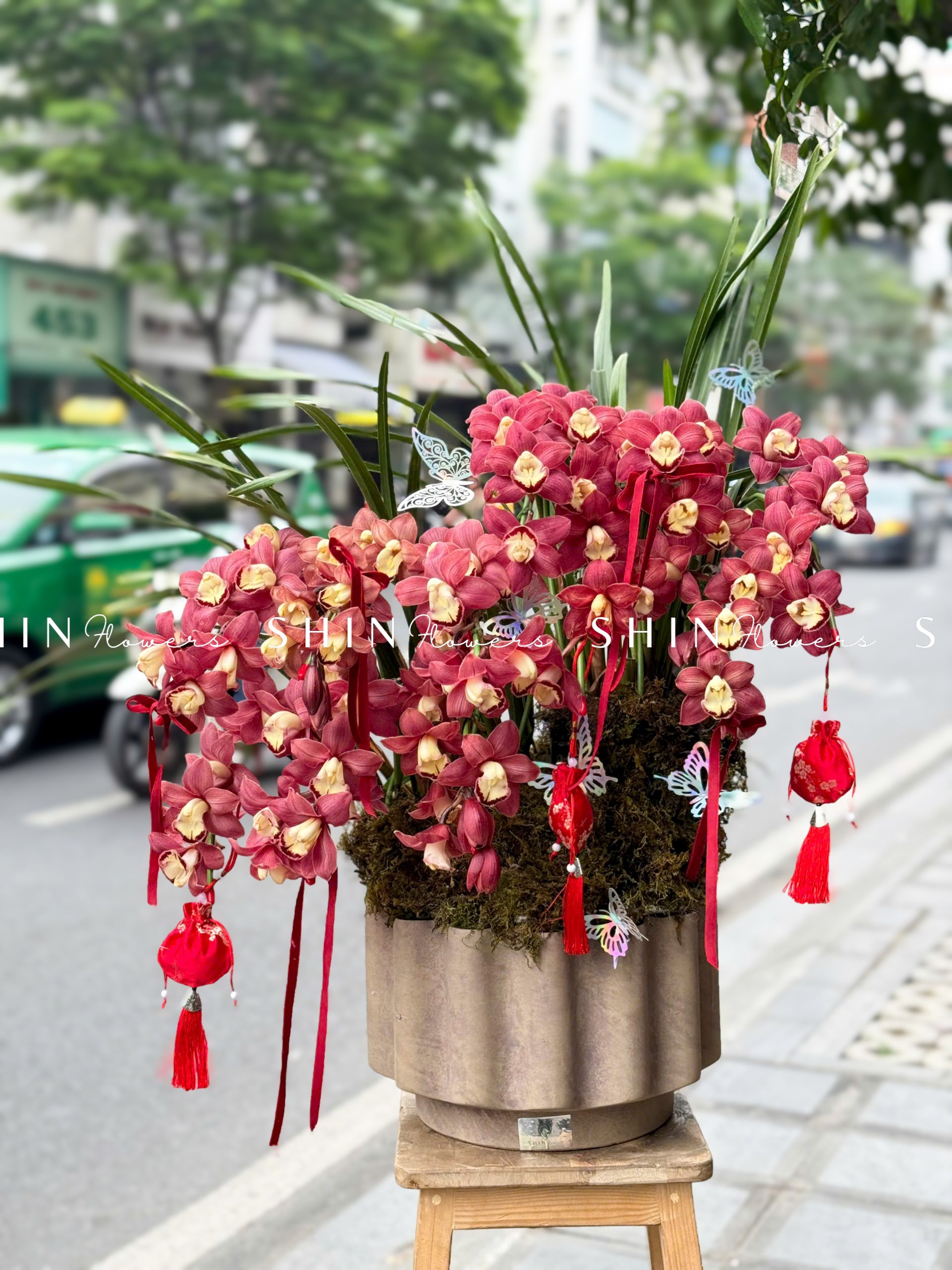 Chậu Đia Lan Sato Đỏ- Phú Quý 12 Vòi Tet62