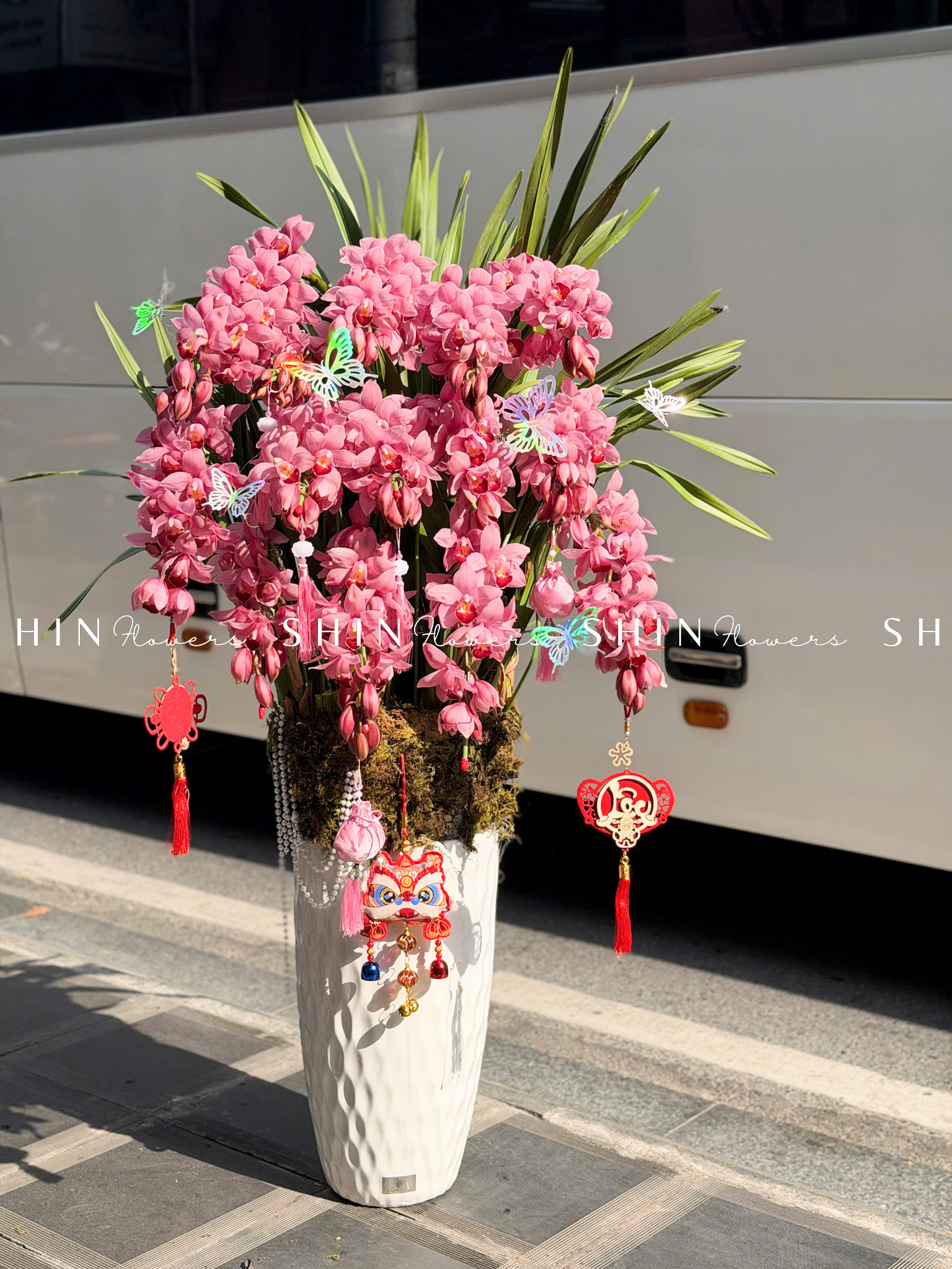 Chậu Đia Lan Sato màu hồng flamingo siêu to vòi Tet70