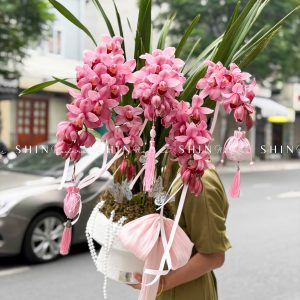 Chậu Đia Lan Sato màu hồng flamingo 5 vòi Tet68