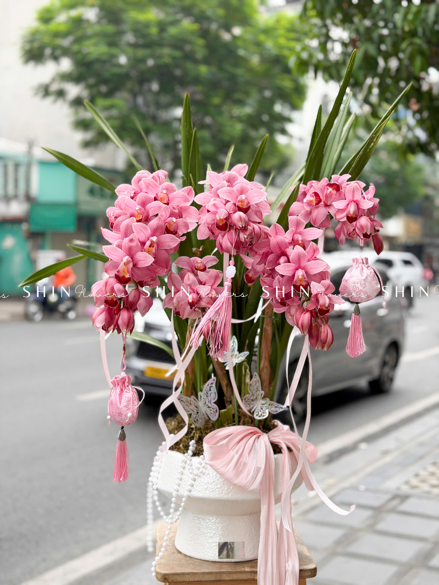 Chậu Đia Lan Sato màu hồng flamingo 5 vòi Tet68