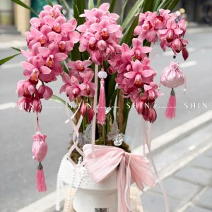 Chậu Đia Lan Sato màu hồng flamingo 5 vòi Tet68