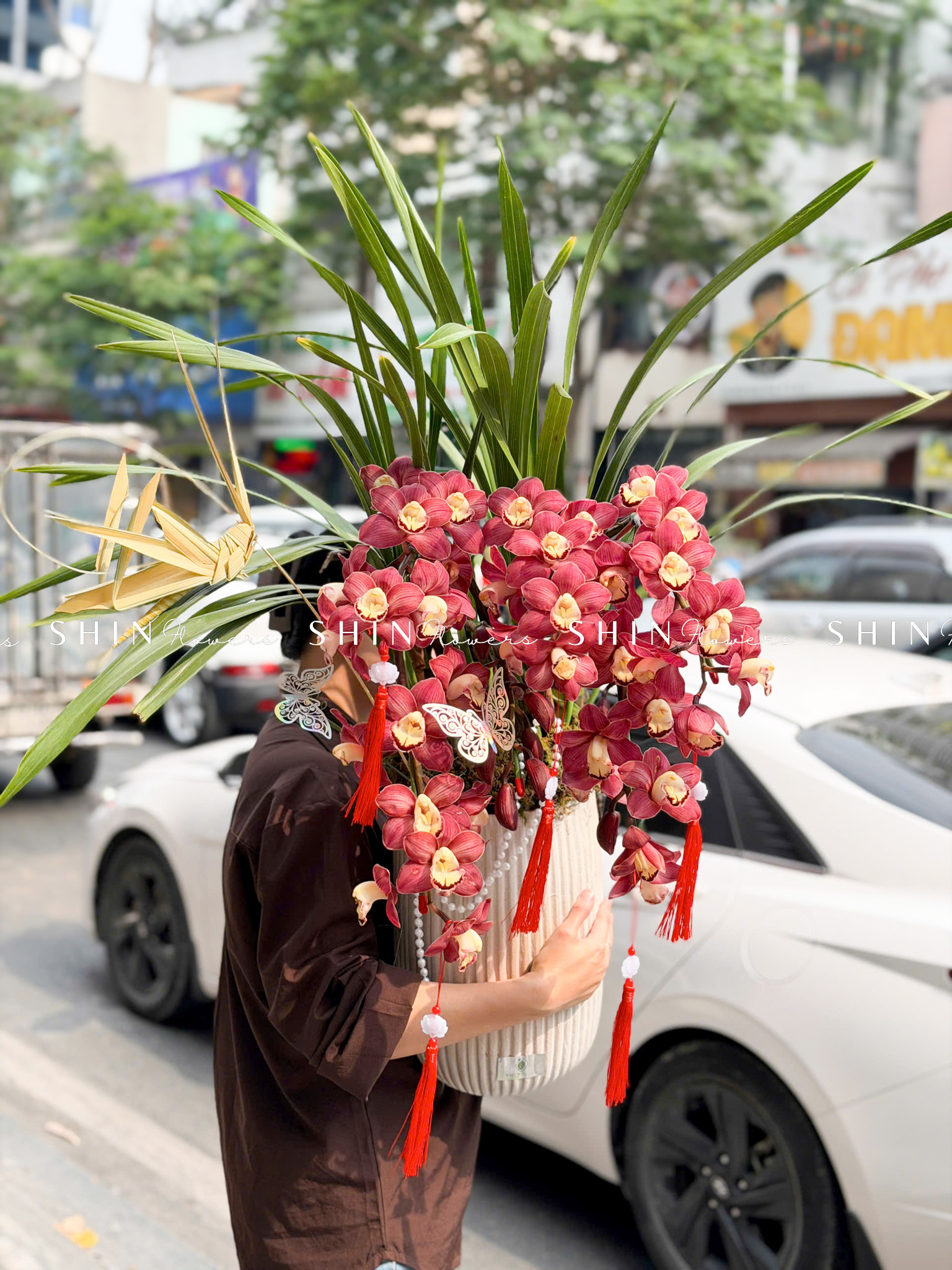 Chậu Đia Lan Sato Đỏ- Phú Quý Tet73