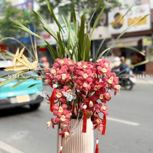 Chậu Đia Lan Sato Đỏ- Phú Quý Tet73