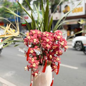 Chậu Đia Lan Sato Đỏ- Phú Quý Tet73