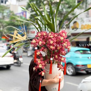 Chậu Đia Lan Sato Đỏ- Phú Quý Tet73