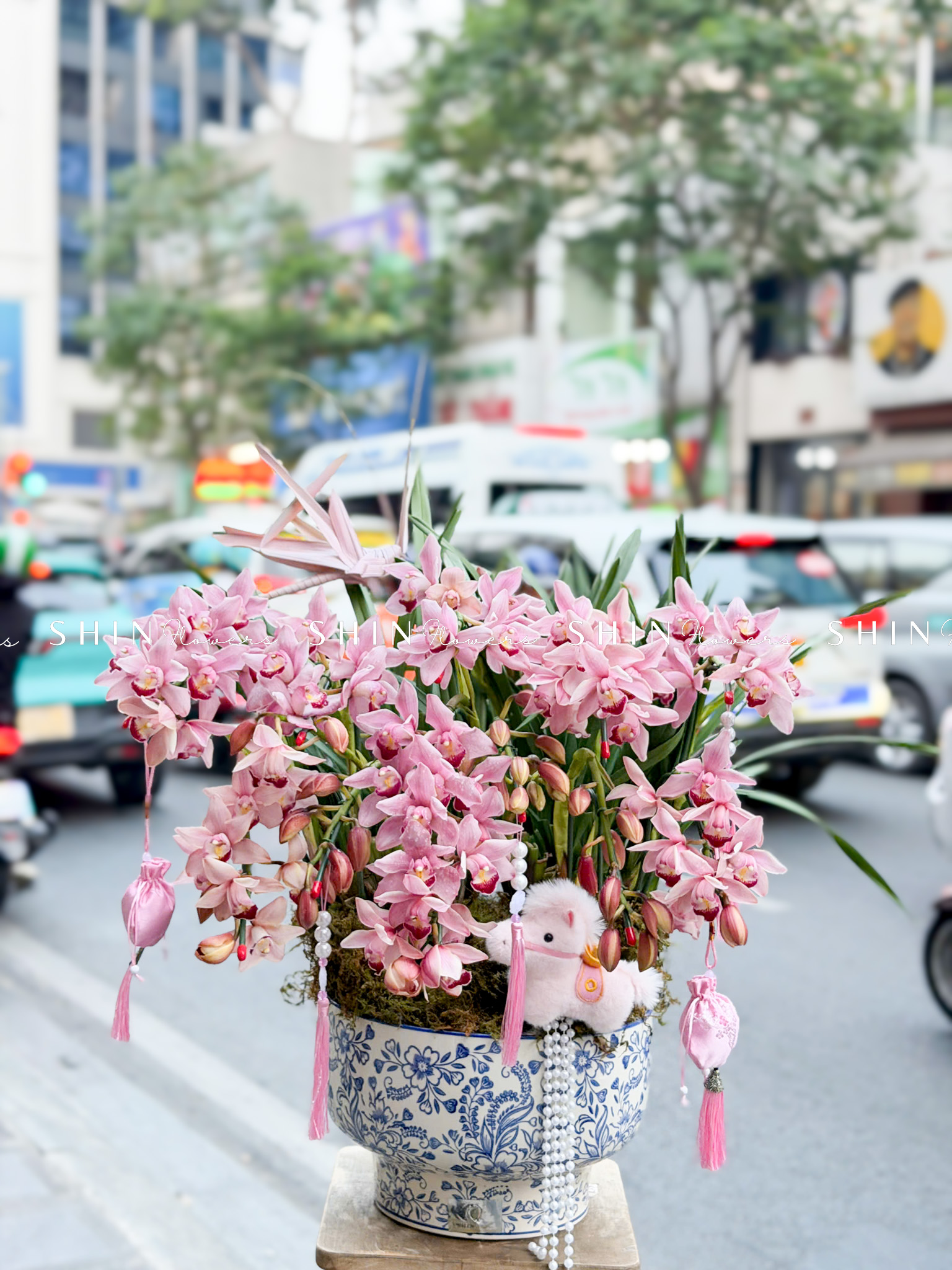 Chậu Đia Lan Sato màu hồng 12 Vòi Tet78