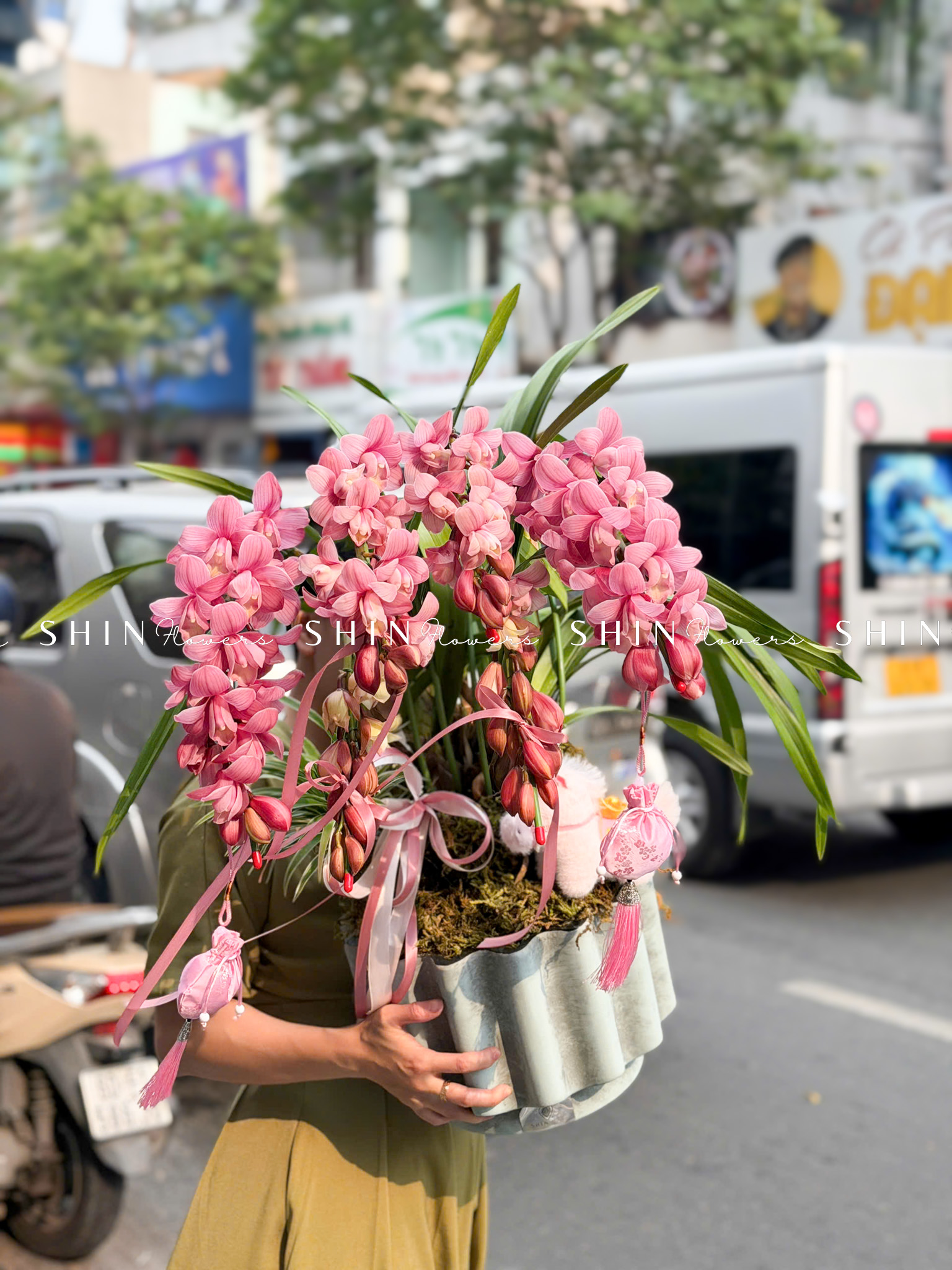 Chậu Đia Lan Sato màu hồng flamingo 6 Vòi Tet77