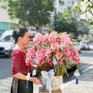 Chậu 2 gốc Đia Lan Sato màu hồng flamingo 12 Vòi Tet81