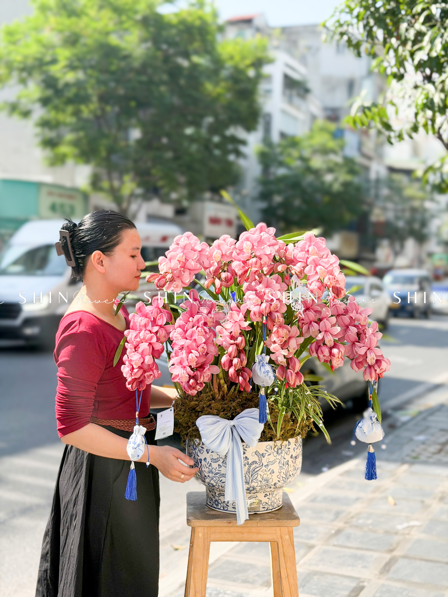 Chậu 2 gốc Đia Lan Sato màu hồng flamingo 12 Vòi Tet81