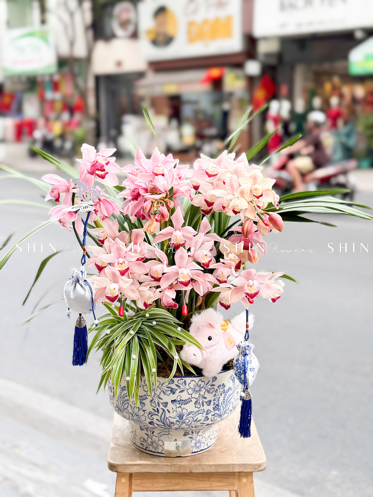 Chậu Đia Lan Sato màu hồng 6 Vòi Tet81