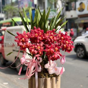 Chậu Đia Lan Sato Đỏ- Phú Quý Tet83