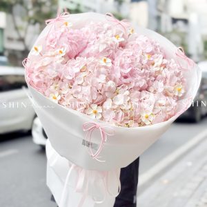 Hoa Bó 10 Cẩm Tú Cầu Hồng S628