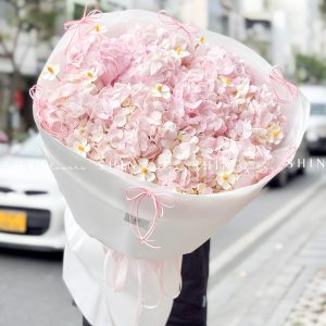 Hoa Bó 10 Cẩm Tú Cầu Hồng S628