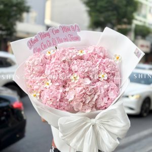 Hoa Bó 10 Cẩm Tú Cầu Hồng S629