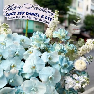 Lẵng Hoa chúc mừng Tone Xanh Sang Trọng H151