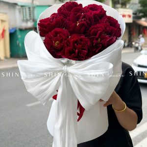 Hoa Bó 8 Mẫu Đơn Đỏ Old Faithful S619