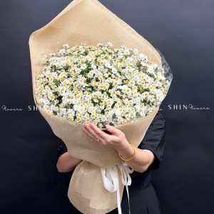 Hoa Bó cúc Tana và Thạch Thảo Trắng S633