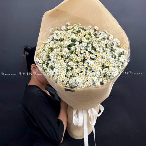 Hoa Bó cúc Tana và Thạch Thảo Trắng S633