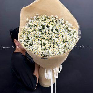 Hoa Bó cúc Tana và Thạch Thảo Trắng S633