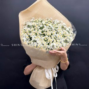 Hoa Bó cúc Tana và Thạch Thảo Trắng S633