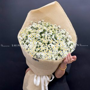 Hoa Bó cúc Tana và Thạch Thảo Trắng S633