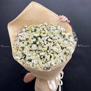 Hoa Bó cúc Tana và Thạch Thảo Trắng S633