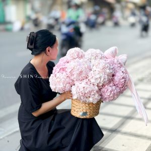 Hộp hoa 22 Cẩm Tú Cầu Hồng H155