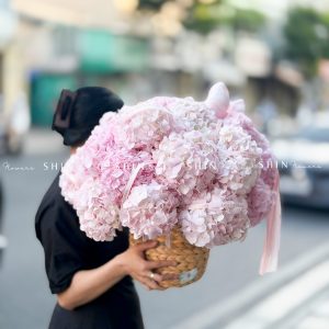 Hộp hoa 22 Cẩm Tú Cầu Hồng H155