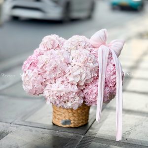 Hộp hoa 22 Cẩm Tú Cầu Hồng H155