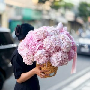 Hộp hoa 22 Cẩm Tú Cầu Hồng H155