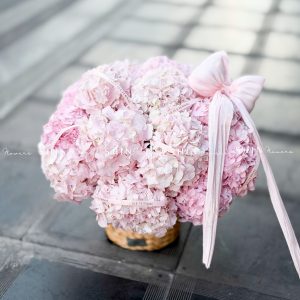 Hộp hoa 22 Cẩm Tú Cầu Hồng H155