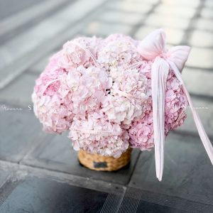 Hộp hoa 22 Cẩm Tú Cầu Hồng H155