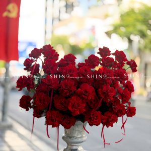 Lẵng Hoa 50 Hoa hồng đỏ Cao Nguyên sang trọng H152