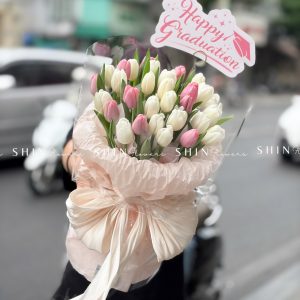 Bó Hoa 30 Tulip Hồng mix trắng S641
