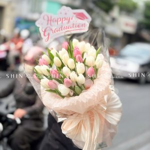 Bó Hoa 30 Tulip Hồng mix trắng S641