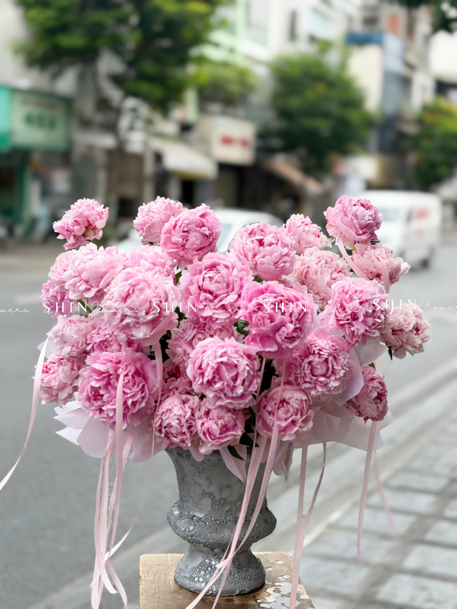 Hộp hoa 32 cành Mẫu Đơn Sarah Hồng H155