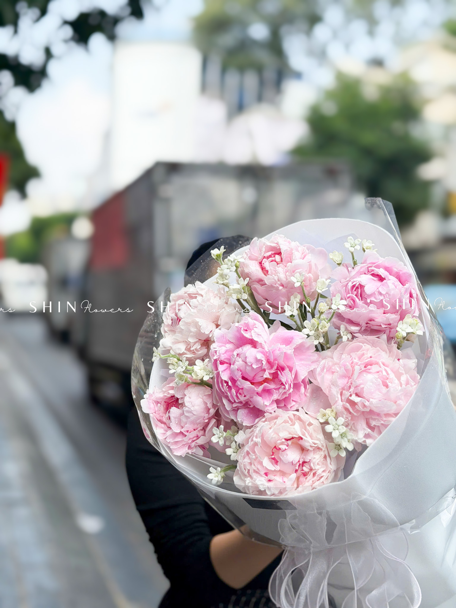 Hoa Bó 7 Mẫu Đơn Sarah Hồng Mix tweedia trắng S658
